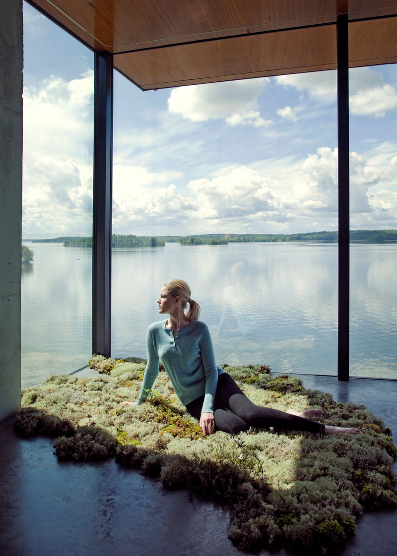 Elisabeth Toll