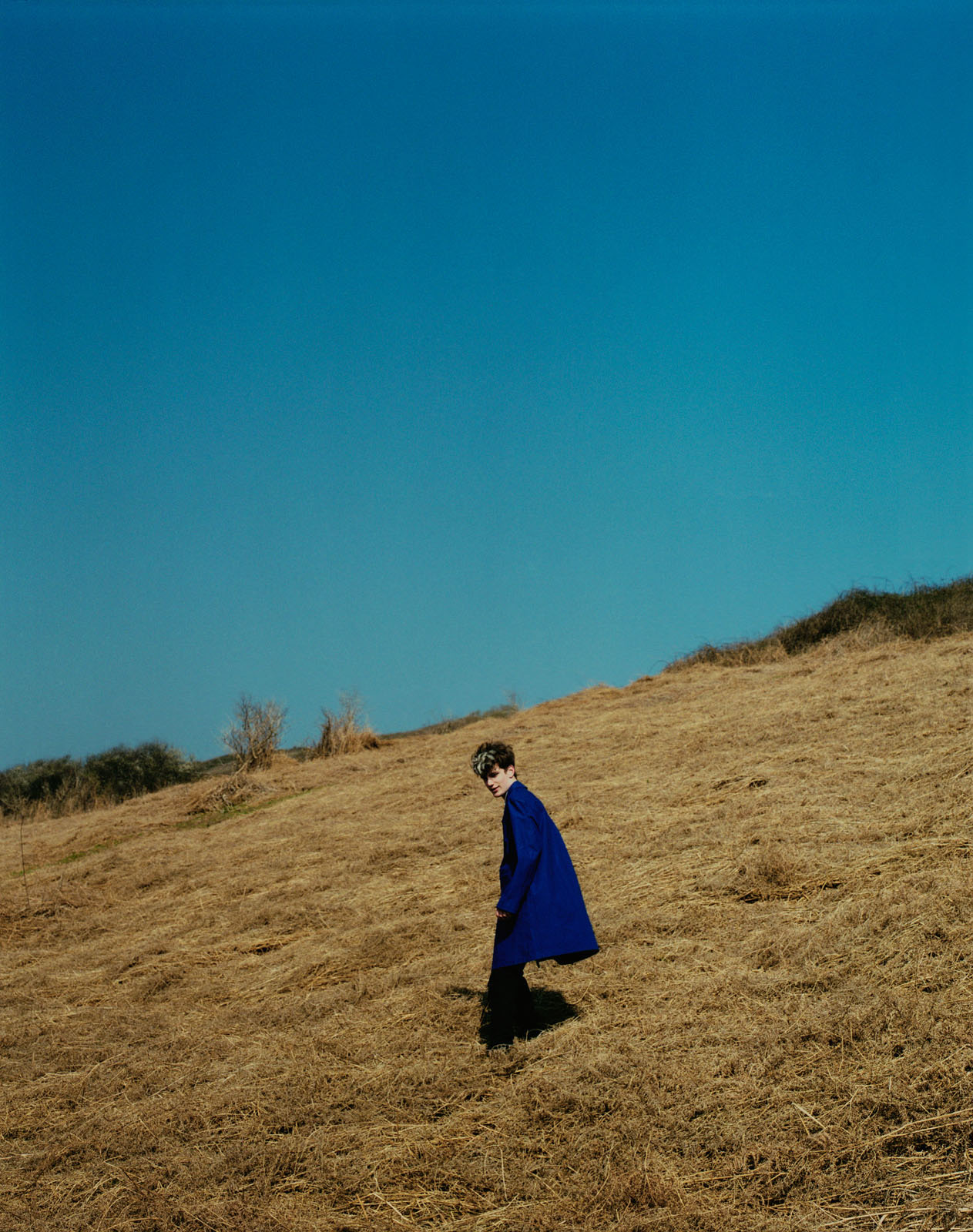 Elisabeth Toll
